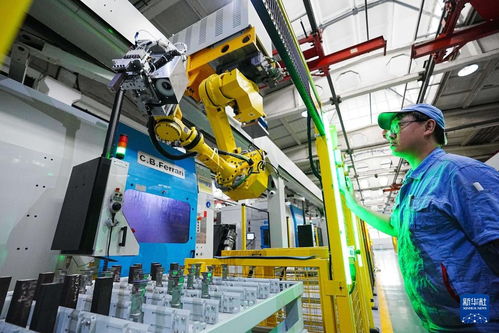 新時(shí)代中國(guó)調(diào)研行之看區(qū)域 | 東北智造 以企業(yè)網(wǎng)絡(luò)技術(shù)匯聚振興新動(dòng)能